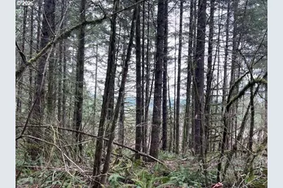 Deer Ct, Banks, OR 97106 - Photo 19