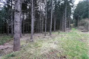 Deer Ct, Banks, OR 97106 - Photo 1