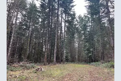 Deer Ct, Banks, OR 97106 - Photo 5