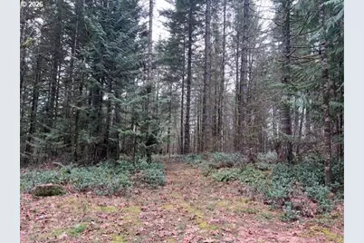 Deer Ct, Banks, OR 97106 - Photo 7