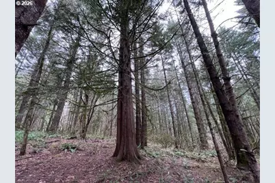 Deer Ct, Banks, OR 97106 - Photo 17