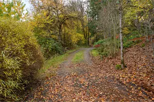 45245 SW Saddleback Dr, Gaston, OR 97119 - Photo 31