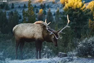 5907 NE Timber Ln, Prineville, OR 97754 - Photo 43