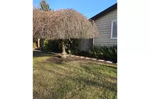 738 S 2nd St, Carlton, OR 97111 - Photo 3