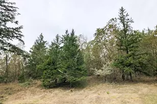 5956 Buckhorn Rd, Roseburg, OR 97470 - Photo 27