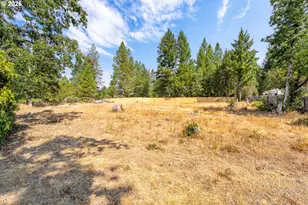 222 Shadywood Dr, Cave Junction, OR 97523 - Photo 15