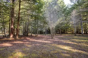 1954 Yeust Rd, Azalea, OR 97410 - Photo 9