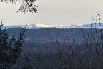 2543 Palisades Crest Dr, Lake Oswego, OR 97034 - Photo 43