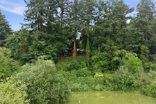 3700 SE Ellis St, Portland, OR 97202 - Photo 5