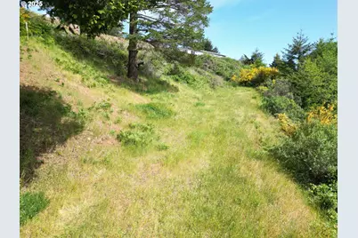 6877 Pacific Terrace Dr, Brookings, OR 97415 - Photo 1