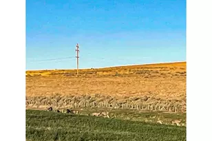 260 N E St, Lexington, OR 97839 - Photo 21