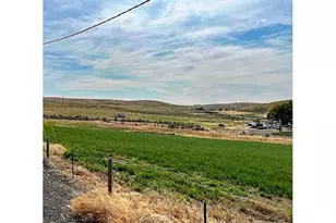 260 N E St, Lexington, OR 97839 - Photo 3