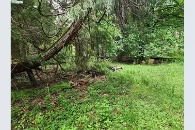 0 Louis Creek Rd, Myrtle Creek, OR 97457 - Photo 15