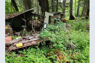 0 Louis Creek Rd, Myrtle Creek, OR 97457 - Photo 19