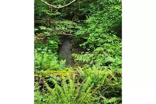 0 Louis Creek Rd, Myrtle Creek, OR 97457 - Photo 1