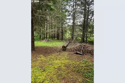0 Louis Creek Rd, Myrtle Creek, OR 97457 - Photo 11