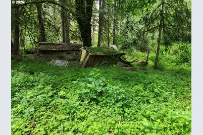 0 Louis Creek Rd, Myrtle Creek, OR 97457 - Photo 17