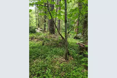 0 Louis Creek Rd, Myrtle Creek, OR 97457 - Photo 5