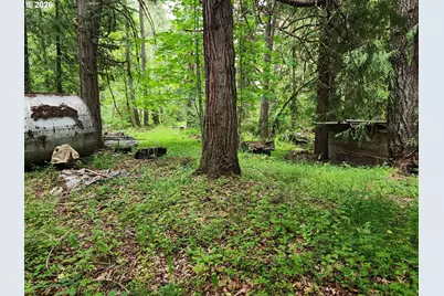 0 Louis Creek Rd, Myrtle Creek, OR 97457 - Photo 9