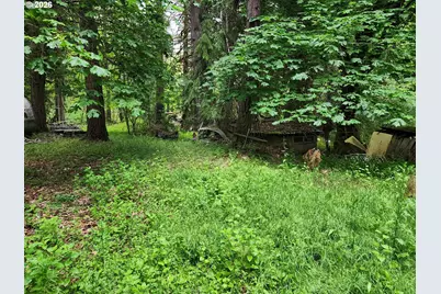 0 Louis Creek Rd, Myrtle Creek, OR 97457 - Photo 3