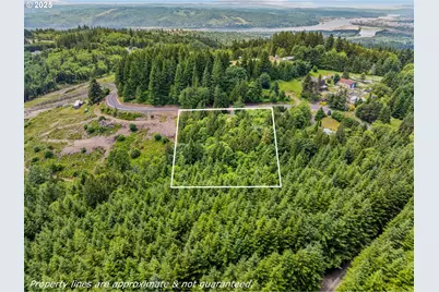 1899 Mount Pleasant Rd, Kelso, WA 98626 - Photo 17