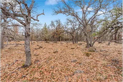 314 Pine Forest Rd, Goldendale, WA 98620 - Photo 43