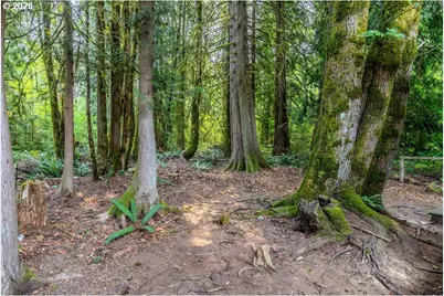 25222 E Welches Rd #19, Welches, OR 97067 - Photo 31