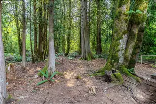25222 E Welches Rd, Welches, OR 97067 - Photo 31