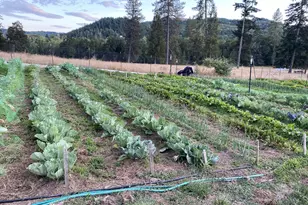 135 Champagne Dr, Roseburg, OR 97471 - Photo 39