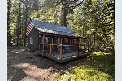 Cabin 61 Northwoods, Cougar, WA 98616 - Photo 1