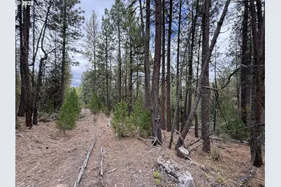 0 Whiskey Creek Rd, Beatty, OR 97621 - Photo 37