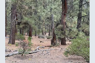 0 Whiskey Creek Rd, Beatty, OR 97621 - Photo 3