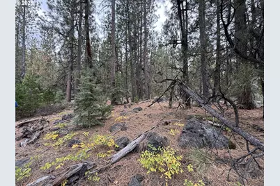 0 Whiskey Creek Rd, Beatty, OR 97621 - Photo 41