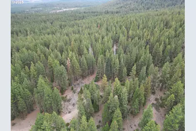 0 Whiskey Creek Rd, Beatty, OR 97621 - Photo 19