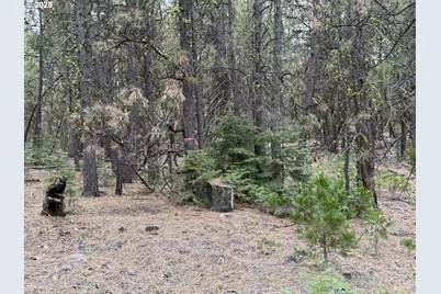 0 Whiskey Creek Rd, Beatty, OR 97621 - Photo 35