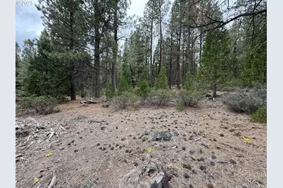 0 Whiskey Creek Rd, Beatty, OR 97621 - Photo 45
