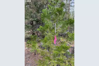 0 Whiskey Creek Rd, Beatty, OR 97621 - Photo 5