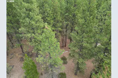 0 Whiskey Creek Rd, Beatty, OR 97621 - Photo 17