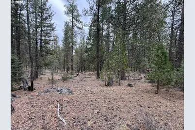 0 Whiskey Creek Rd, Beatty, OR 97621 - Photo 43