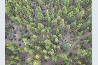 0 Whiskey Creek Rd, Beatty, OR 97621 - Photo 9