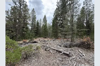 0 Whiskey Creek Rd, Beatty, OR 97621 - Photo 25