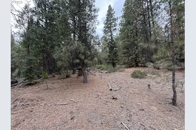 0 Whiskey Creek Rd, Beatty, OR 97621 - Photo 29