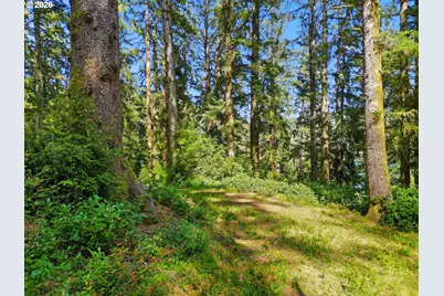 83553 Jensen Ln, Florence, OR 97439 - Photo 3