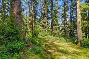 83553 Jensen Ln, Florence, OR 97439 - Photo 3