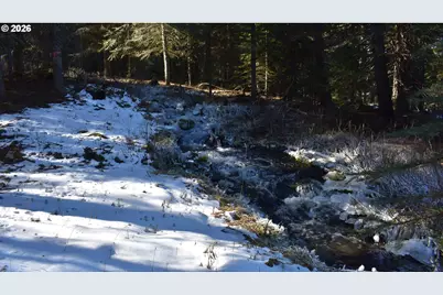 60839 Liberty Rd, Joseph, OR 97846 - Photo 11