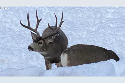 60839 Liberty Rd, Joseph, OR 97846 - Photo 25