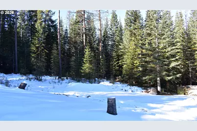 60839 Liberty Rd, Joseph, OR 97846 - Photo 5