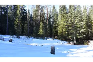 60839 Liberty Rd, Joseph, OR 97846 - Photo 5