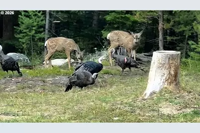 60839 Liberty Rd, Joseph, OR 97846 - Photo 27