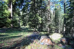 84745 Beske Ln, Joseph, OR 97846 - Photo 33